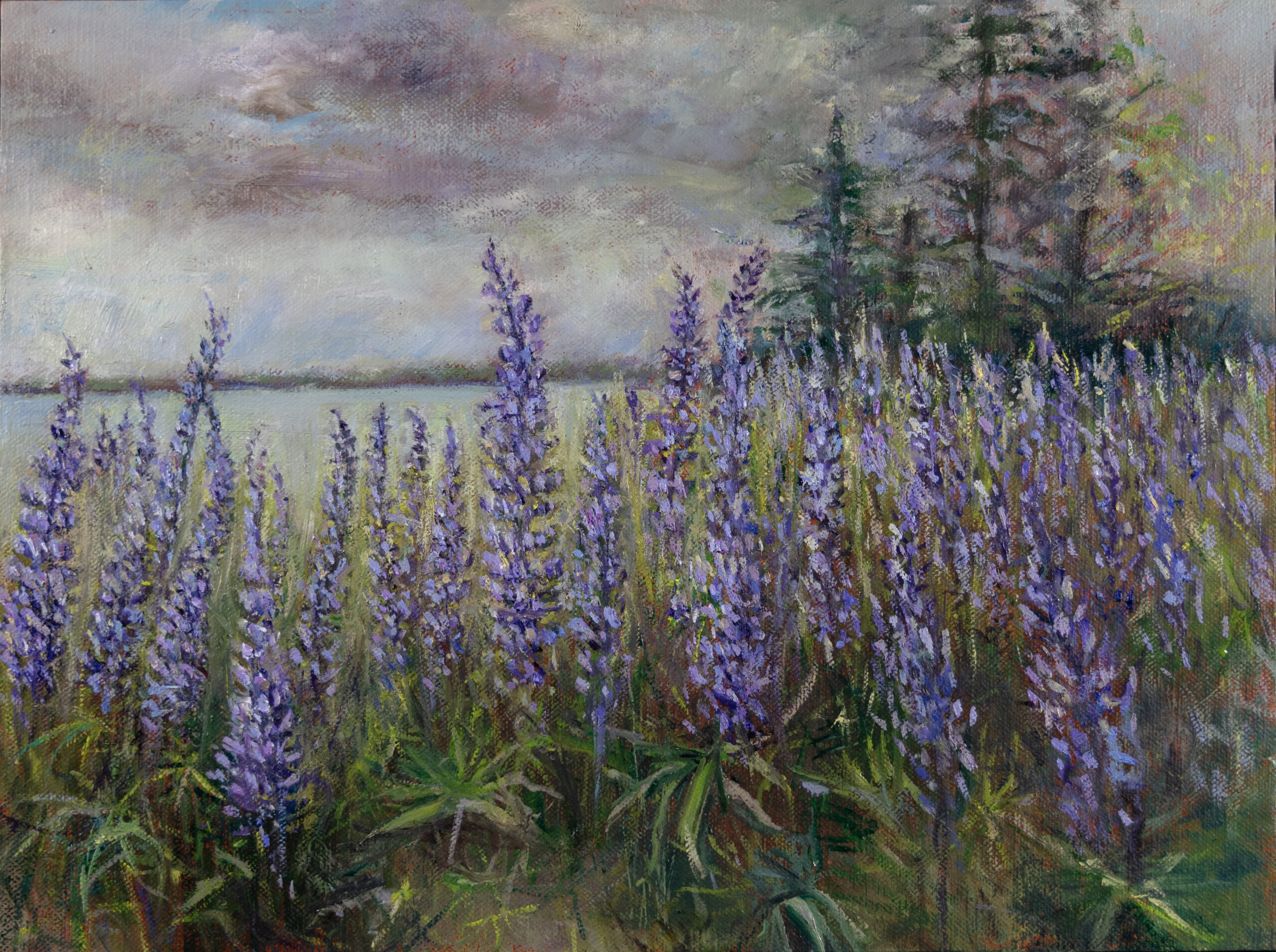 Lupine Storm an oil painting by artist Elizabeth Reed