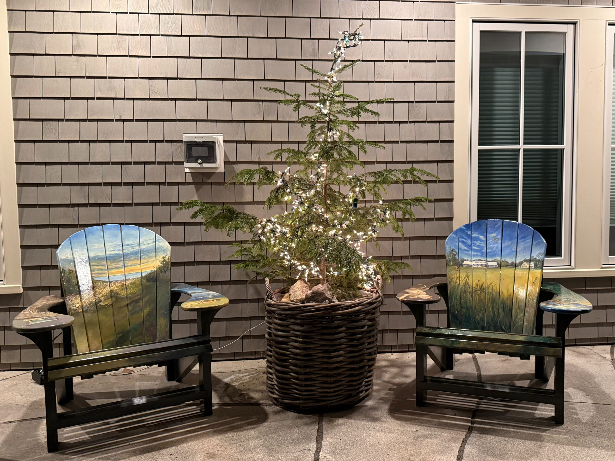 Illustrated Carpenters Boat Shop Adirondack Chairs for Anne DeBevoise and Alex Gibney by artist Elizabeth Elvart Reed.